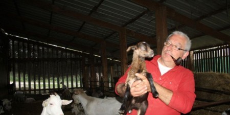 Fromages de chèvres ___ de différentes sortes ( frais, demi-frais, --- ) par Jean-Louis Girodeau ( UNIQUEMENT sur TONNAY-BOUTONNE )